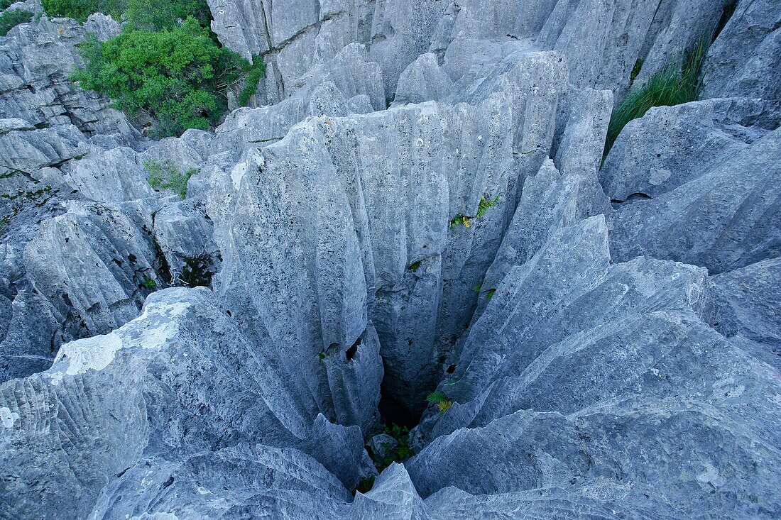 Karstfelsen LLuc Escorca Sierra de Tramuntana Mallorca Balearen Spanien