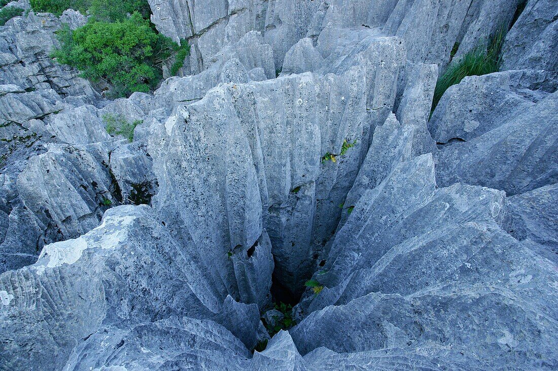 Karstic rocks LLuc Escorca Sierra de Tramuntana Majorca Balearic Islands Spain