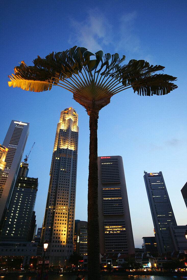 Palme vor der Skyline von Singapur am Abend, Singapur River, Singapur, Asien