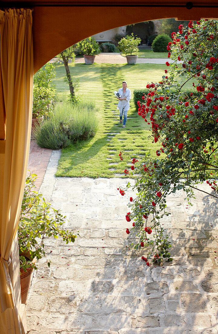 Blick durch Arkaden mit hängender Rose in den Garten, Weingut und Agriturismo Ca' Orologio, Venetien, Italien