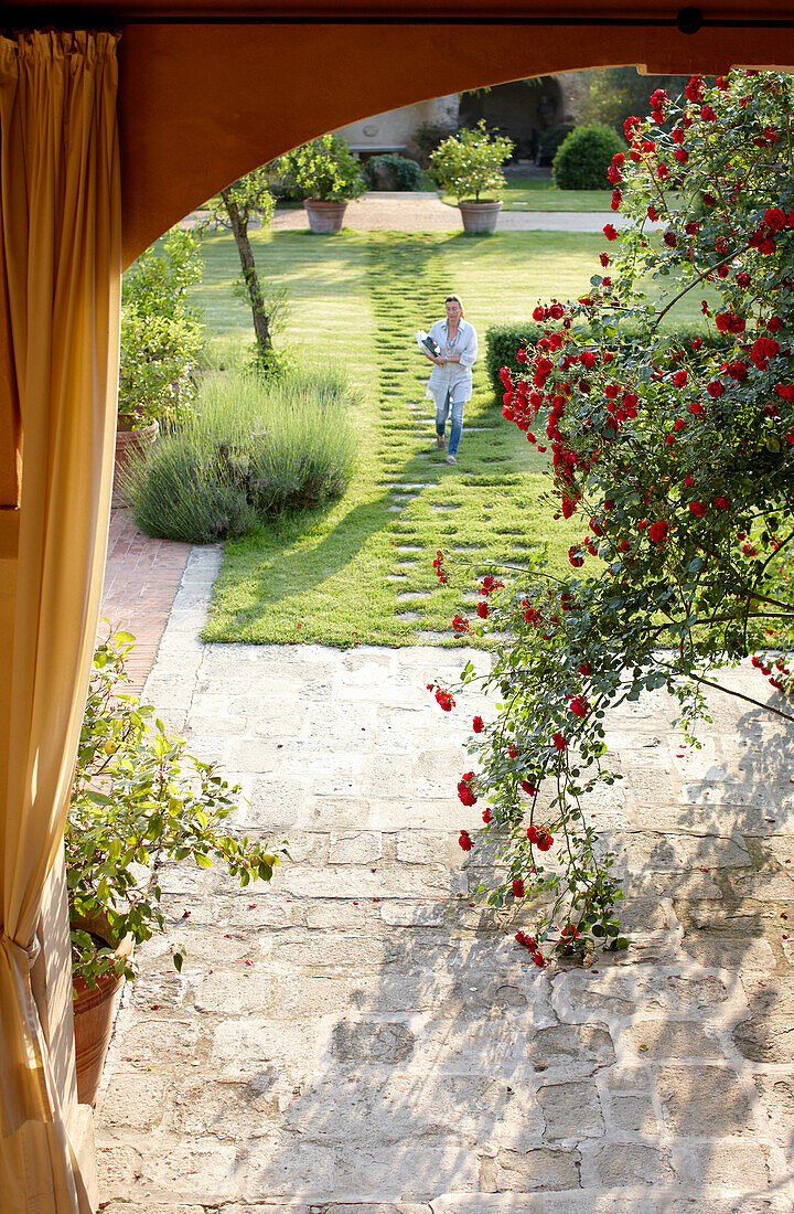 View through rose draped arcades into the garden, Agriturismo and vineyard Ca' Orologio, Venetia, Italy