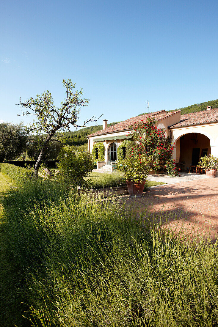 Garden of Agriturismo and vineyard Ca' Orologio, Venetia, Italy