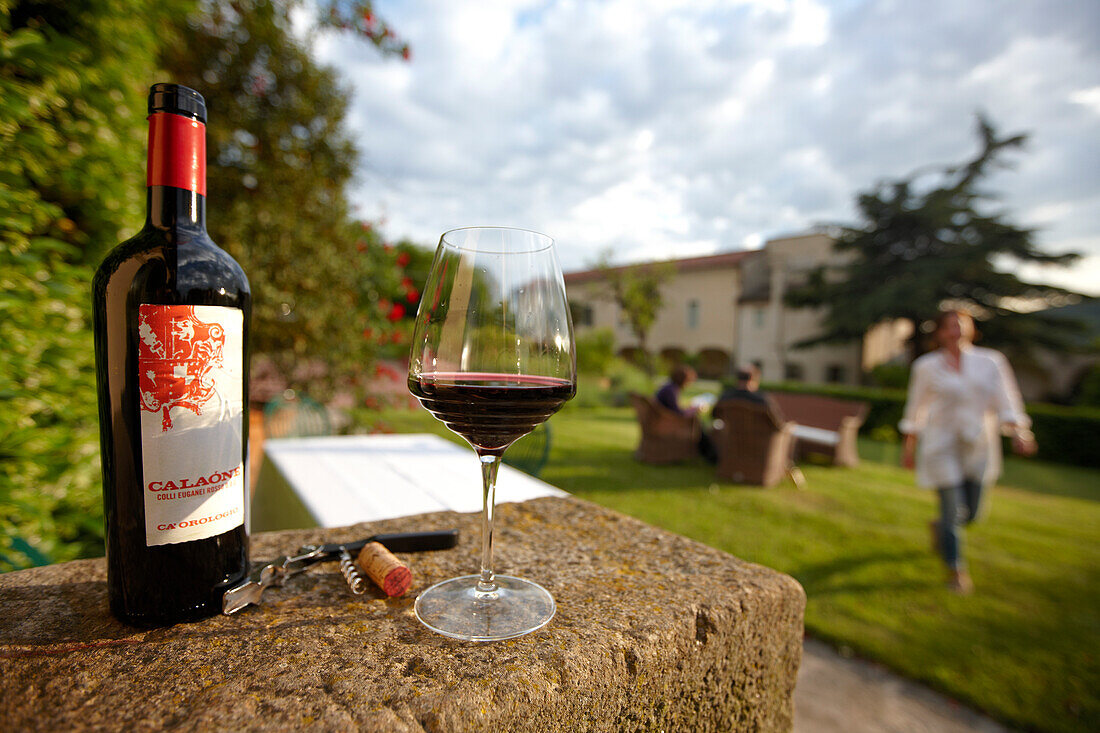 Wine bottle from own vintage in the garden of Agriturismo and vineyard Ca' Orologio, Venetia, Italy