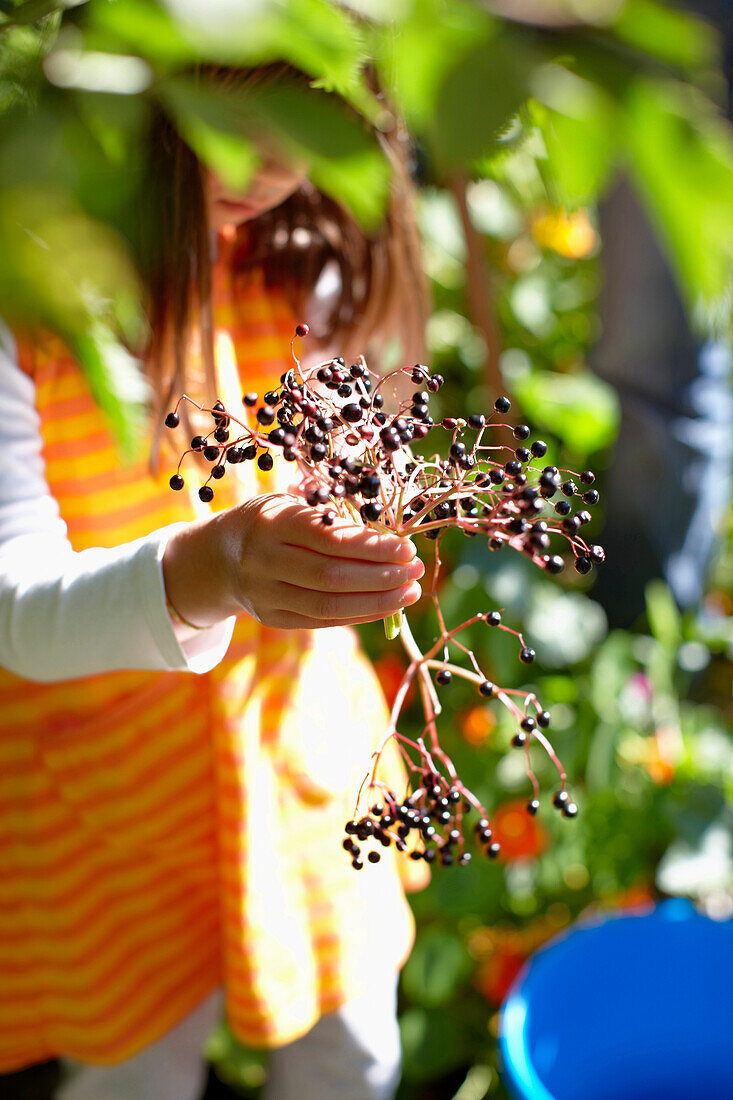 Girl holding elderberries, Am Hochpillberg, Schwaz, Tyrol, Austria