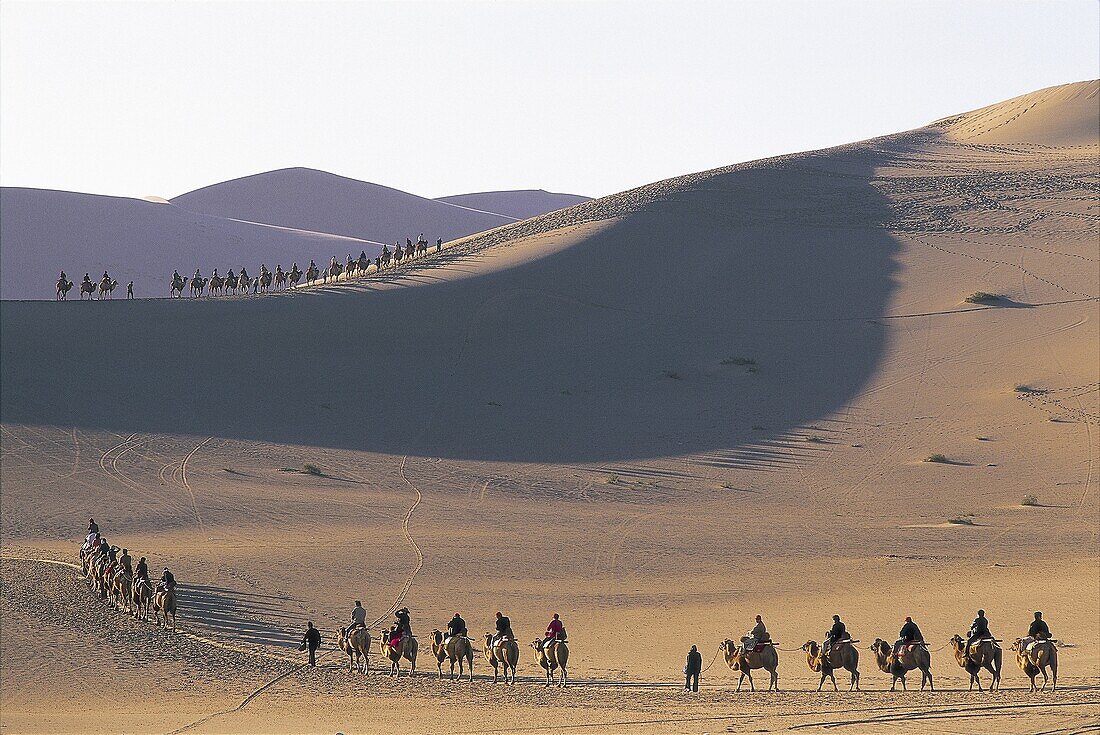 Camel, Camel Riding, Camel Train, Camels, China, As. Asia, Camel, Camels, China, Desert, Dune, Dunes, Dunhuang, Gansu, Holiday, Landmark, Mingshan, Mount, Province, Riding, Sand, Si