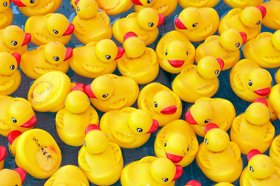 yellow rubber duckys floating on water