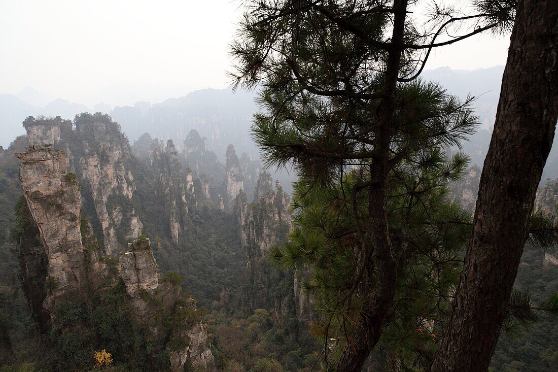 Hunan, Zhangjiajie National Forest Park, Zhangjiajie, Beauty in Nature, Mt Tianzi, Mount Tianzi