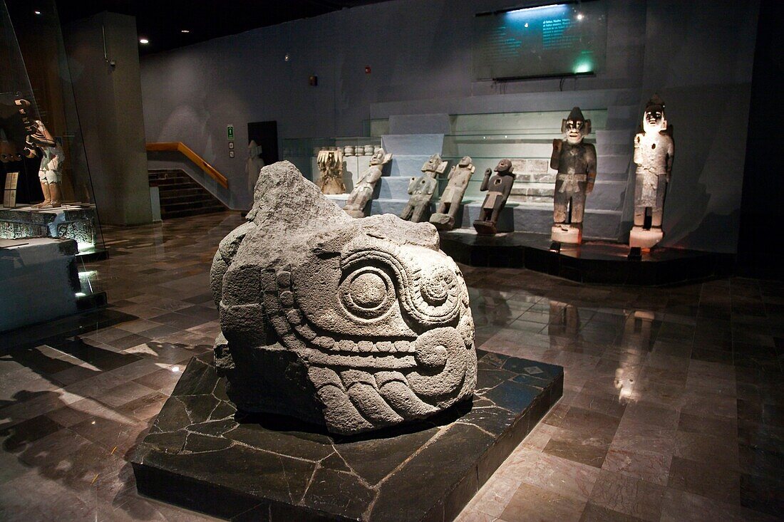 Prehispanic stone sculpture of a plumed serpent at Templo Mayor Museum, Mexico City