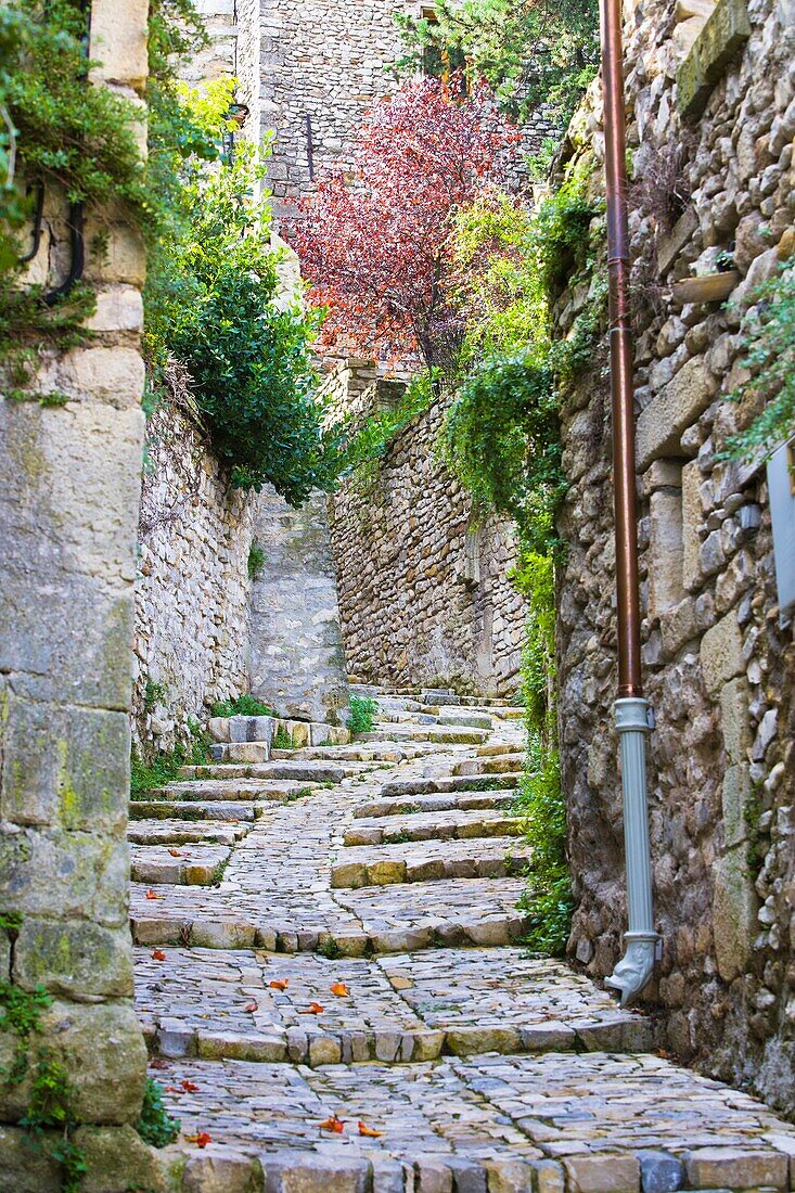 Passageway in the old town of Vaison la Romaine, Provence, France, Europe