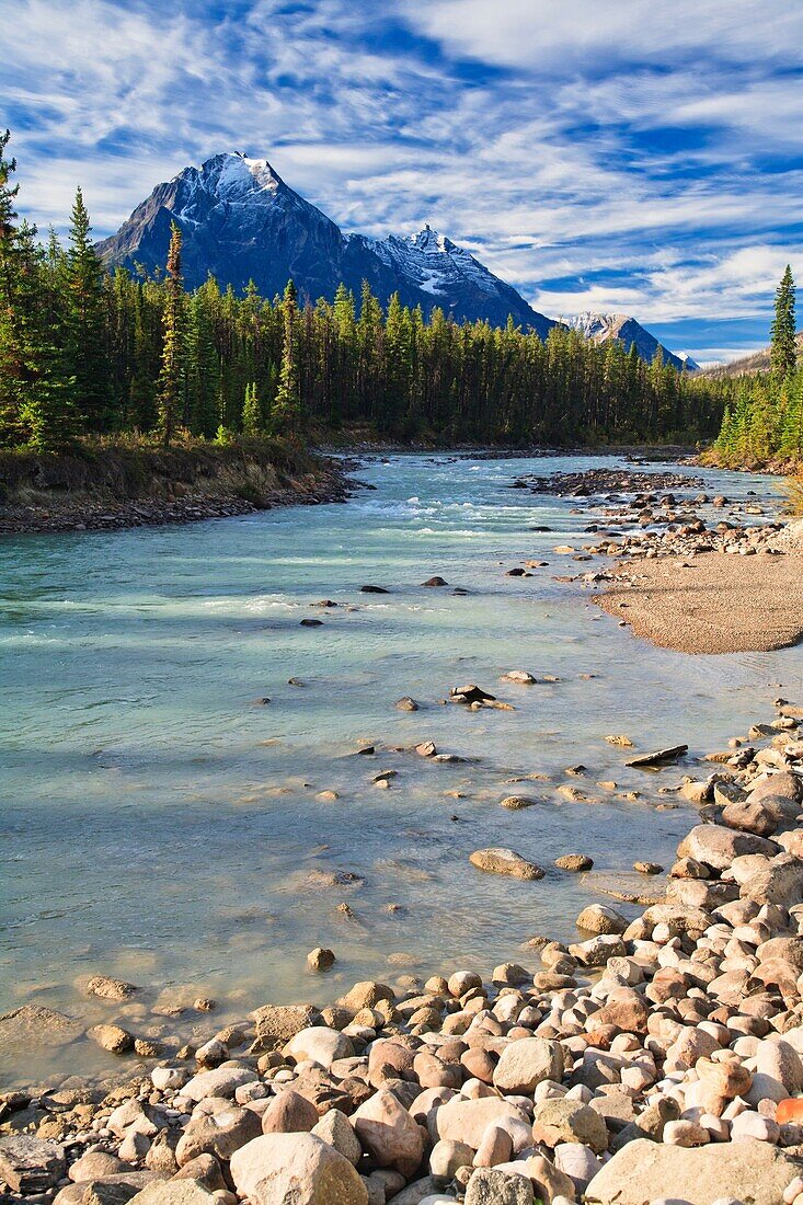 Whirlpool River and the Canadian Rocky Mountains in the Jasper National Park, Alberta, Canada