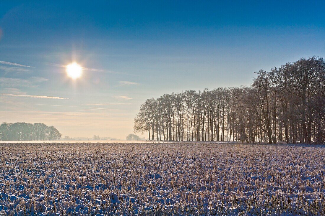 Winter landscape, Lower Saxony, Germany, Europe