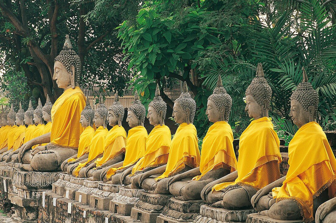 BUDDHAS WRAPPED WITH SILK ROBES, WAT YAI CHAI MONGKHON, AYUTHAYA, THAILAND