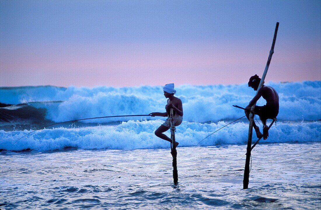 Stilt fishermen at dusk, Weligama region, Sri Lanka