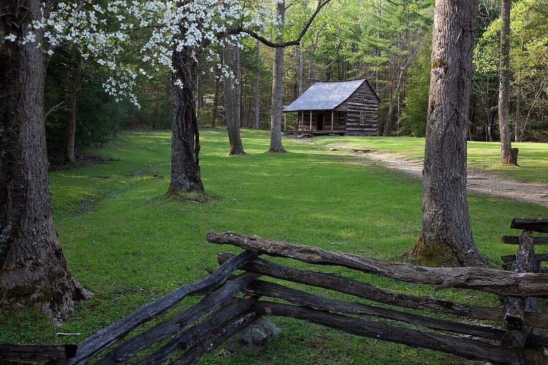 Great Smoky Mountains National Park, Tennessee - Carter Shields cabin in Cades Cove