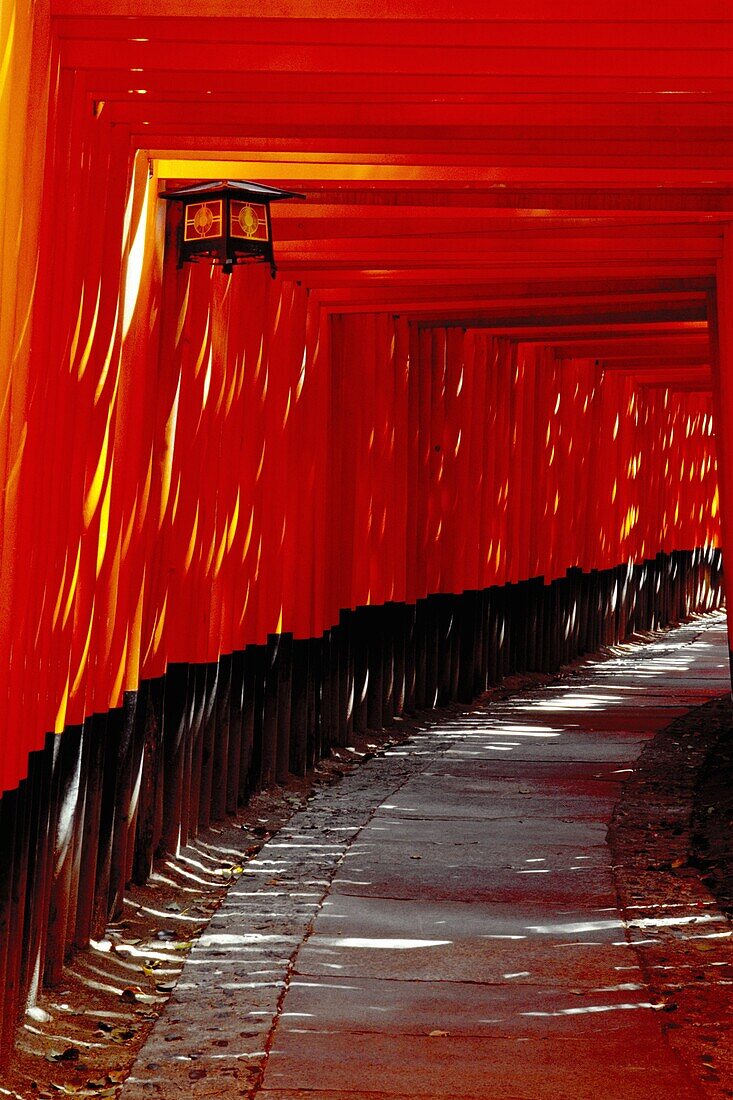 Fushimi Inari Kyoto Japan