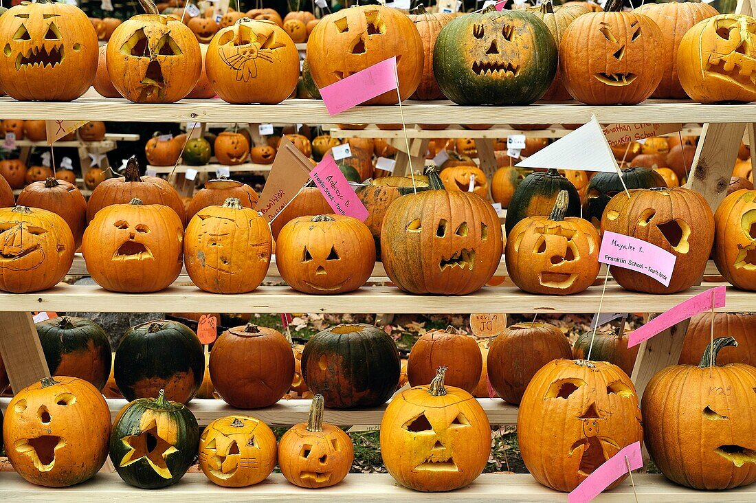 Pumpkin festival, Keene, Cheshire County, New Hampshire, NH, USA