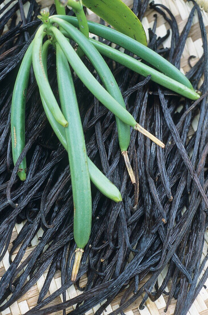 vanilla beans, Reunion island, overseas departement of France, Indian Ocean