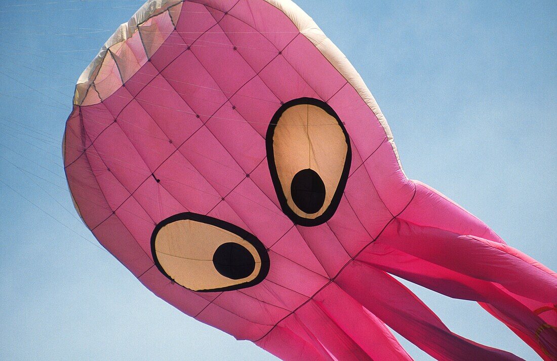 europe, italy, umbria, castiglione del lago, international kites meeting, a huge octopus-shaped kite