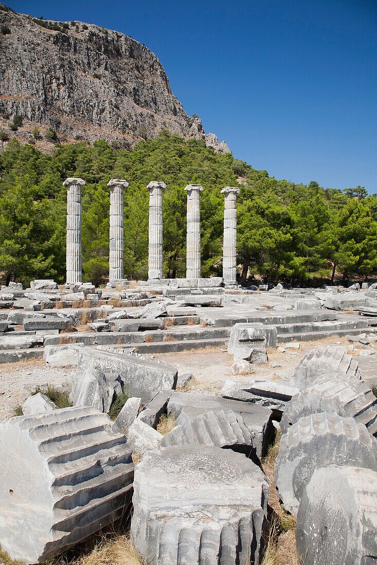 asia, turkey, southern aegean coast, priene, archeological area