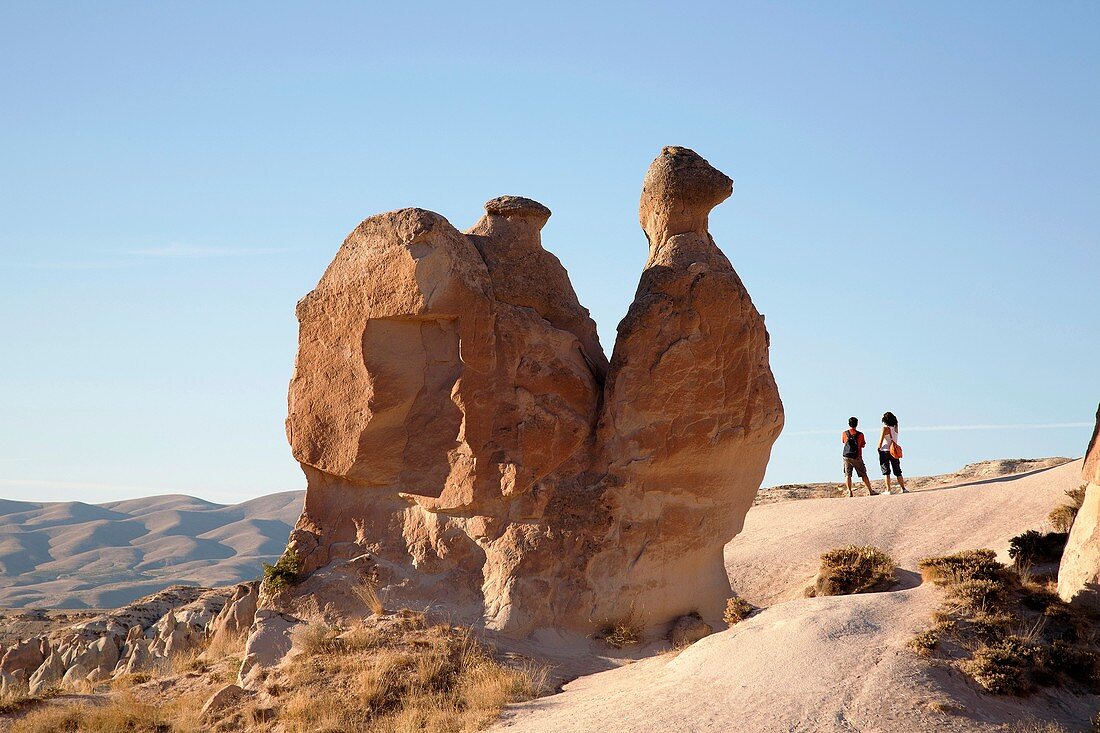 camel-shaped rock, devrenet valley, landscape around goreme, cappadocia, anatolia, turkey, asia