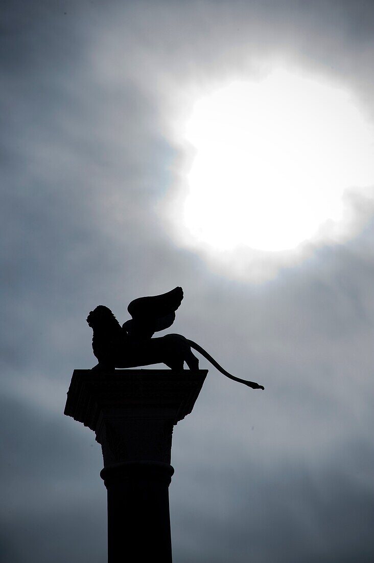 Lion statue side profile  St  Mark’s square  Venice  Italy