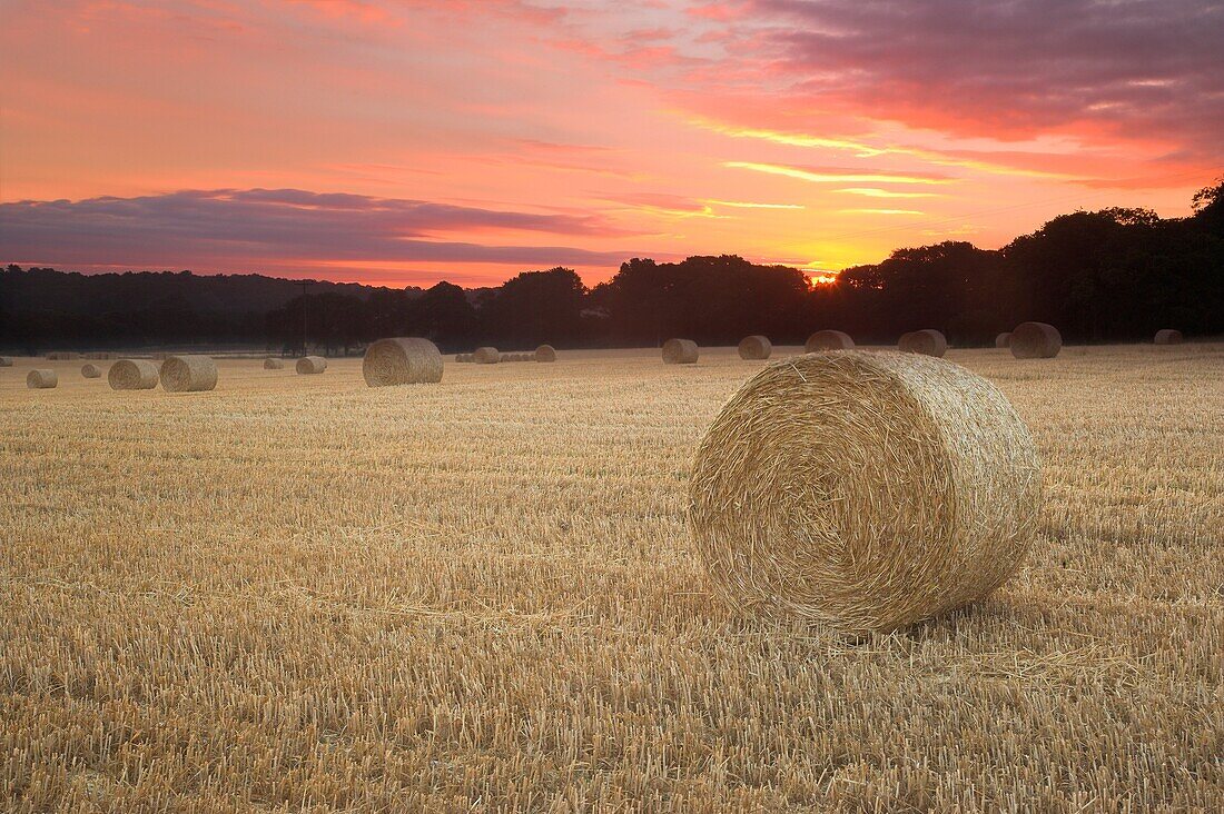 Straw Bales at Sunrise nr Wickham Hampshire