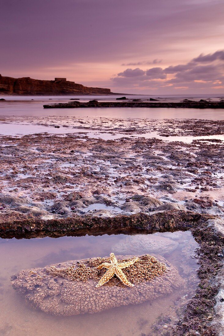 Ribeira D´Ilhas, Ericeira, Portugal