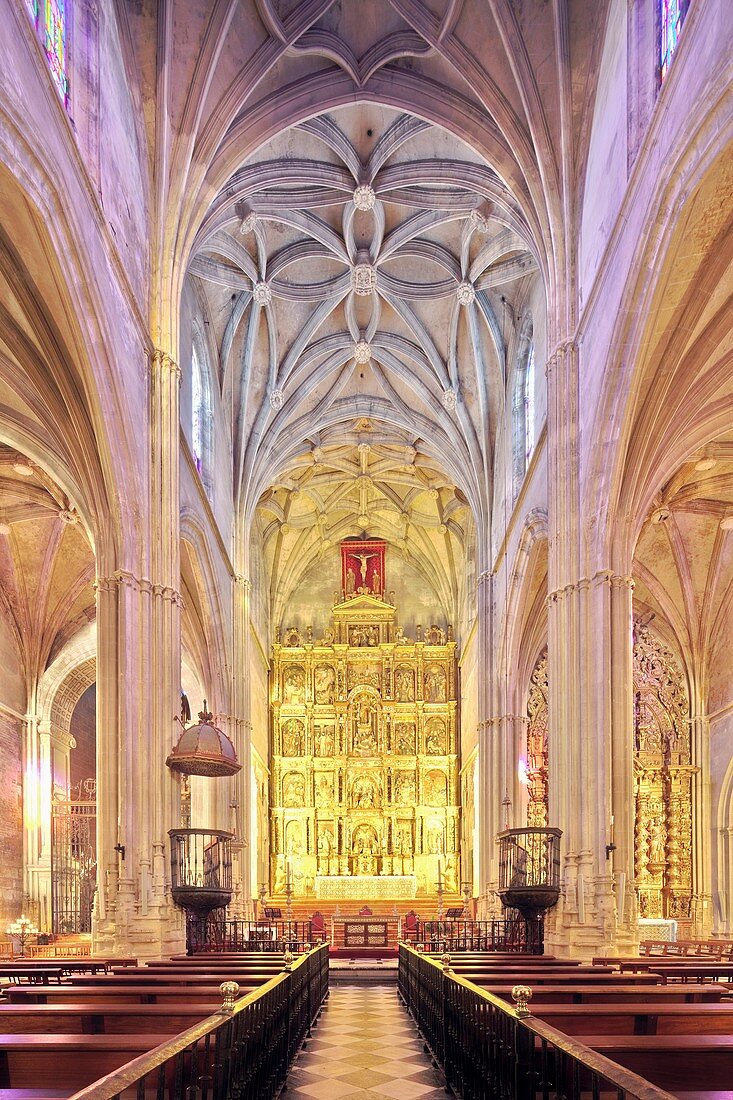 Santa Maria de la Asuncion church 15th century, town of Carmona, province of Seville, Andalusia, Spain