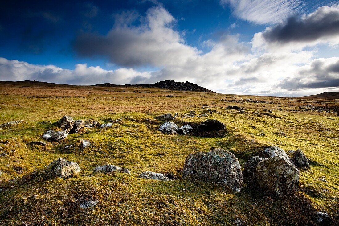 Bodmin Moor Cornwall with Rough Tor in the background