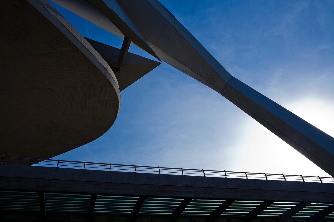 Queen Sofia Palace of the Arts, City of Arts and Sciences, Valencia, Comunidad Valenciana, Spain