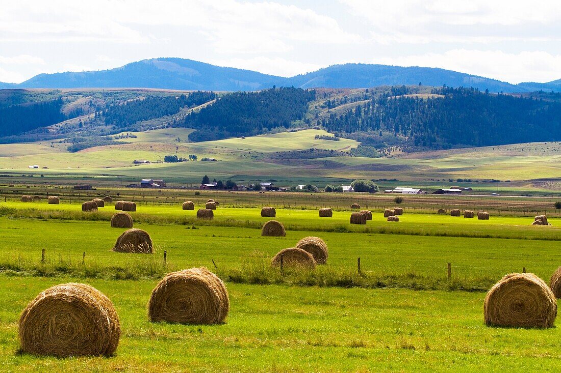 Hay bails in the field, Idaho