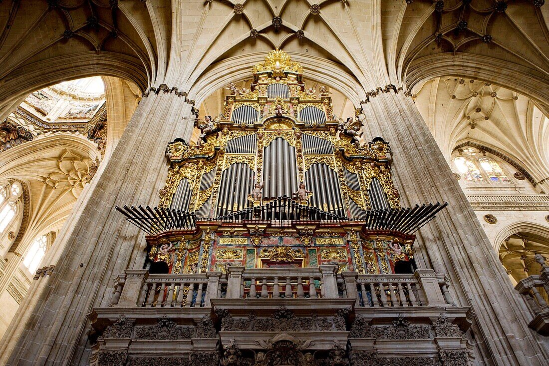 Interior of the New Cathedral of Salamanca. Castilla y León. Spain