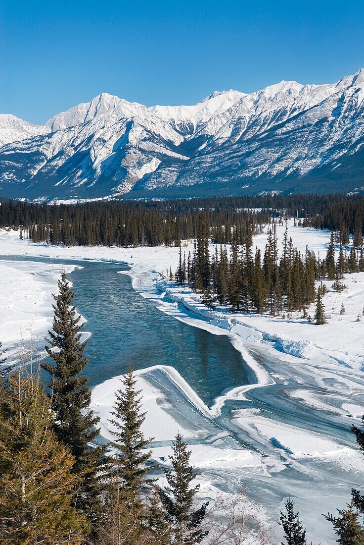 Athabasca River, Jasper National Park Alberta Canada
