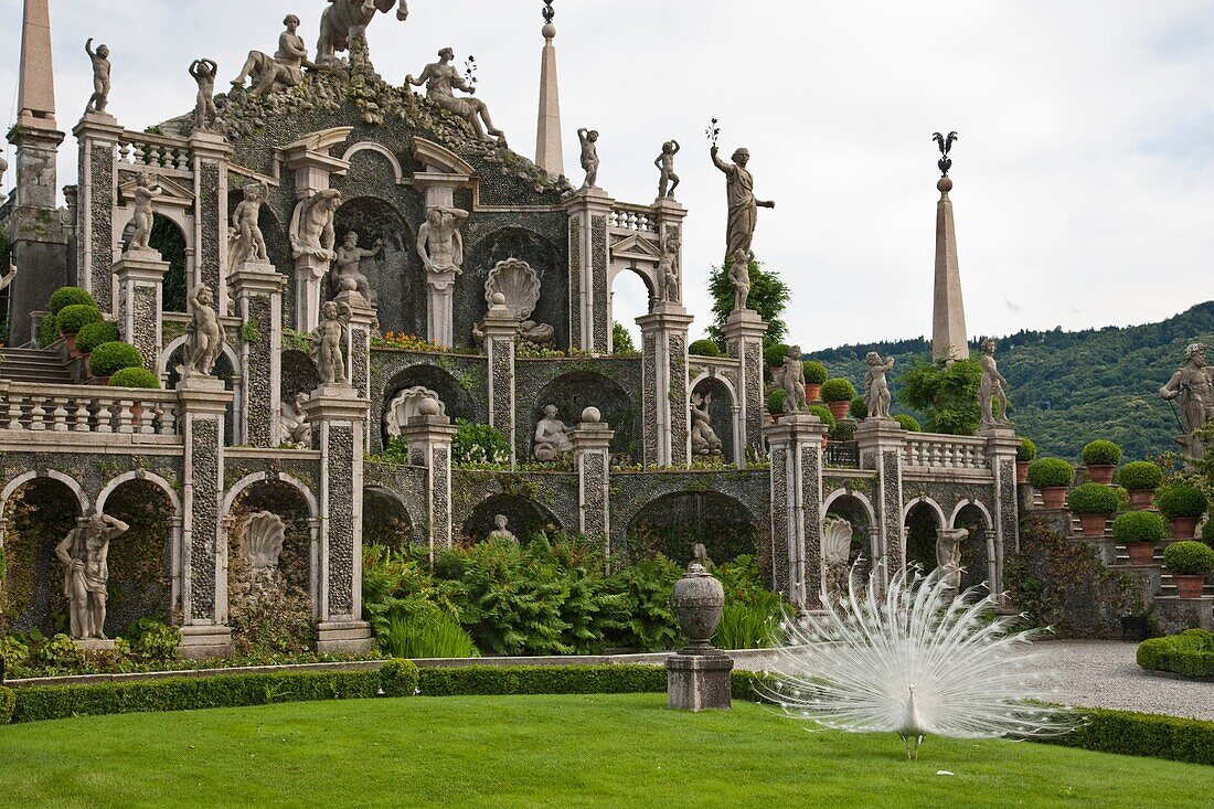 Lake Maggiore, ISOLA BELLA peacock garden, Verbania