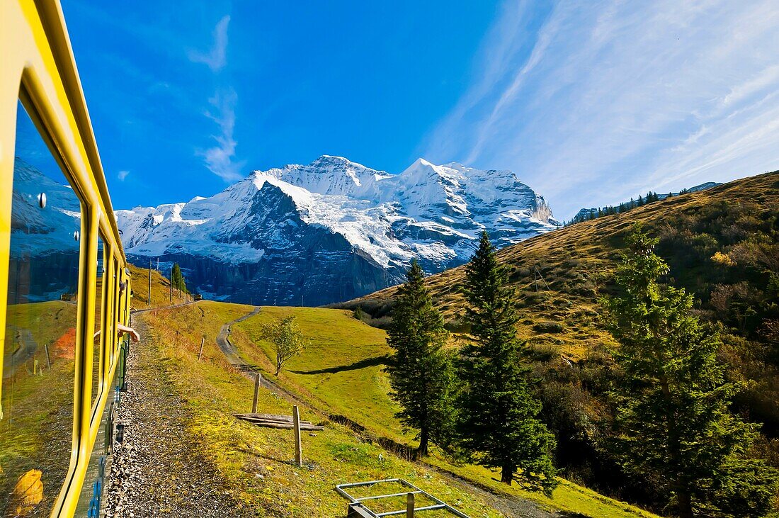 Jungfrau Railway train descending from Wengernalp to Wengen, Swiss Alps, Canton Bern, Switzerland