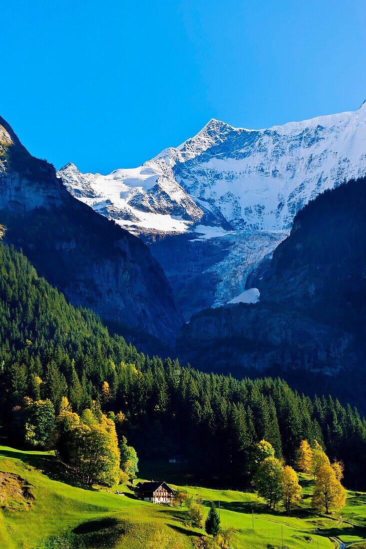 Grindelwald, Swiss Alps, Canton Bern, Switzerland