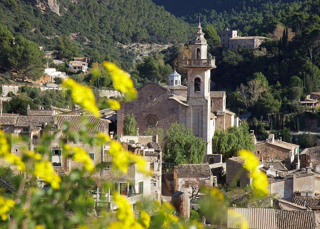Valldemossa´s church and yellow flowers, Majorca, Spain