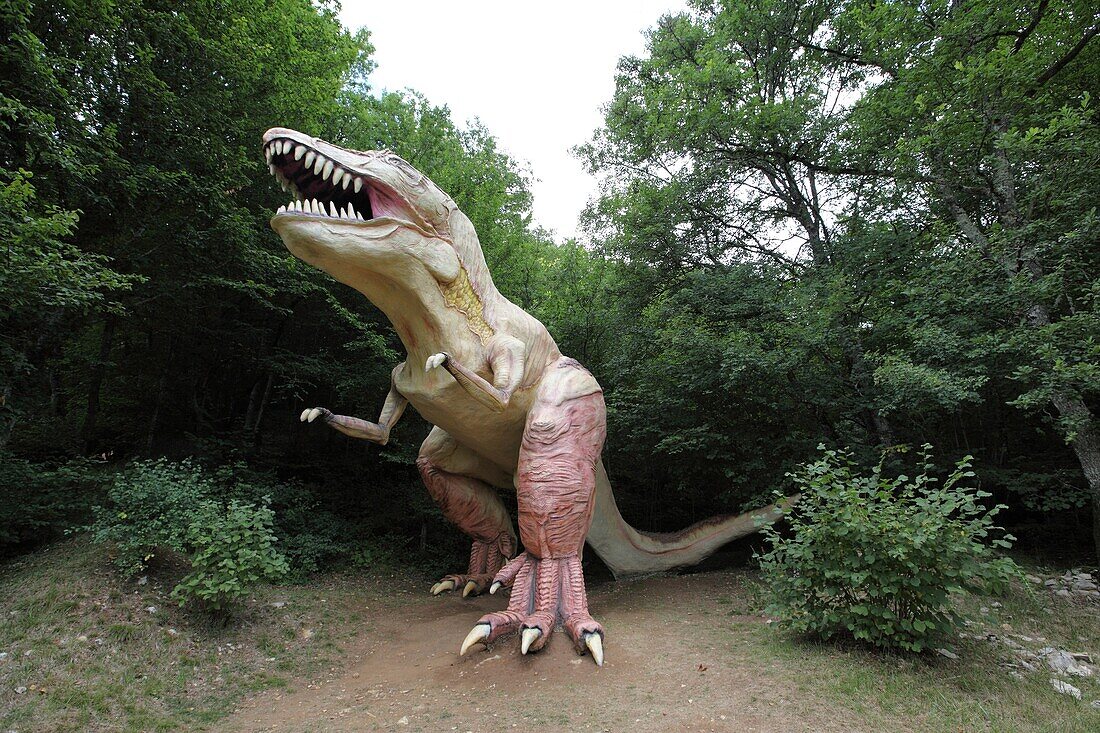 Allosaurus Park Cardoland, carnivore of the Jurassic era forerunner of Tyrannosaurus