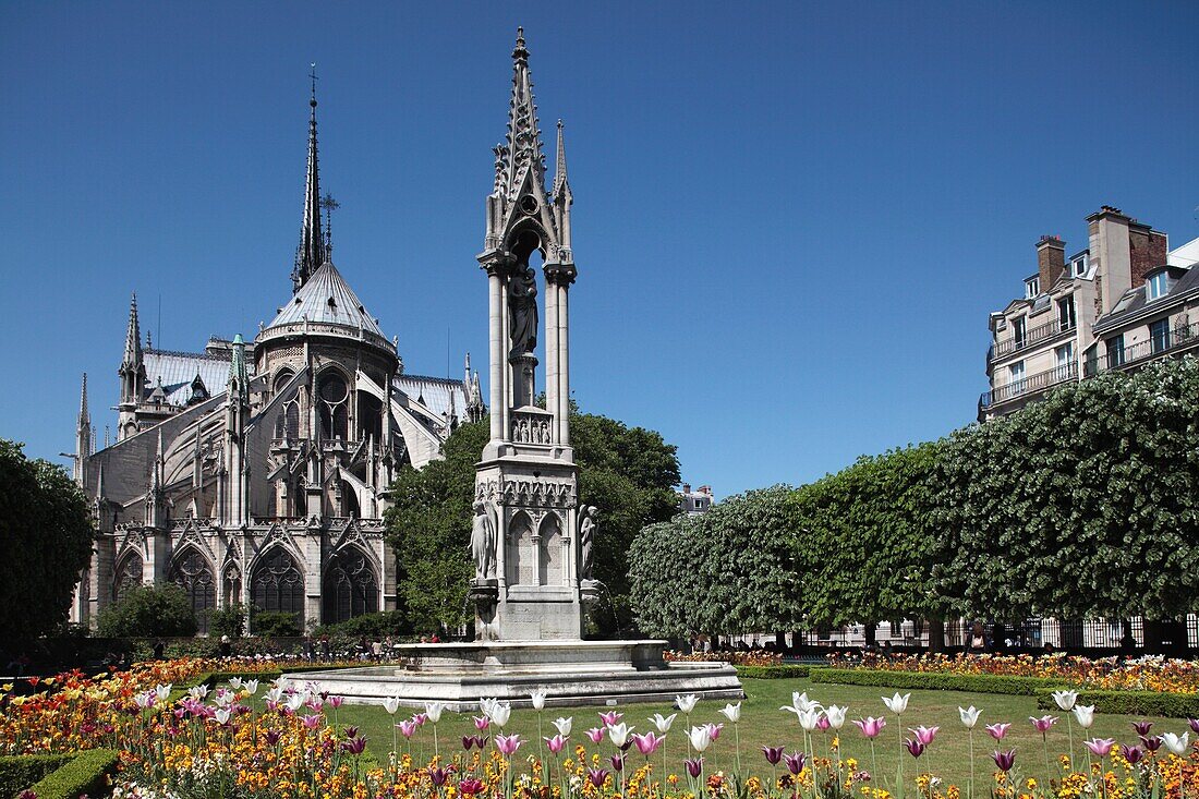 The garden of Le Square Jean XXIII with Notre Dame Cathedral in the background. Paris. Ile-de-France. France