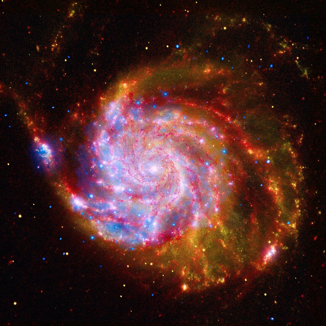 This image of the spiral galaxy Messier 101 is a composite of views from the Spitzer Space Telescope, Hubble Space Telescope, and Chandra X-ray Observatory …