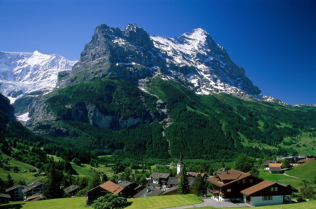 grindelwald, majestic, mountains, peaks, Switzerlan. Grindelwald, Holiday, Landmark, Majestic, Mountains, Peaks, Switzerland, Europe, Tourism, Travel, Vacation, Village