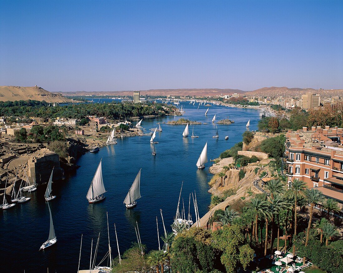 Africa, aswan, boats, city, Egypt, Nile, nile river. Africa, Aswan, Boats, City, Egypt, Holiday, Landmark, Nile, Nile river, River, Sail, Sailboats, Sailing, Tourism, Travel, Vacati