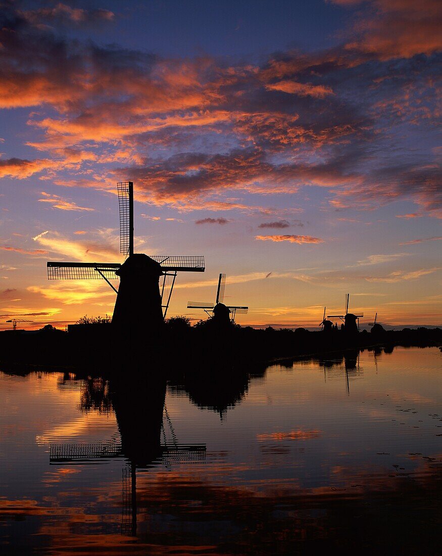 agriculture, Europe, Kinderdijk, Netherlands, silho. Agriculture, Europe, Holiday, Kinderdijk, Landmark, Netherlands, Silhouette, Sunrise, Sunset, Tourism, Travel, Vacation, Windmil