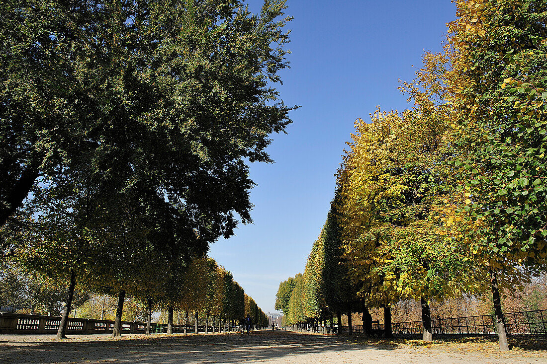 France, Ile-de-France, Paris, 1st, Bank of the Seine, Garden of the Tuileries