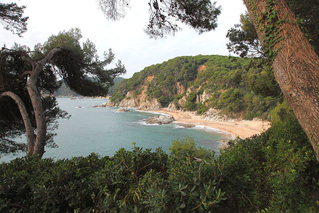 Spain, Catalonia provincia of Gerona, Costa Brava, lloret de Mar, Santa clotilde garden