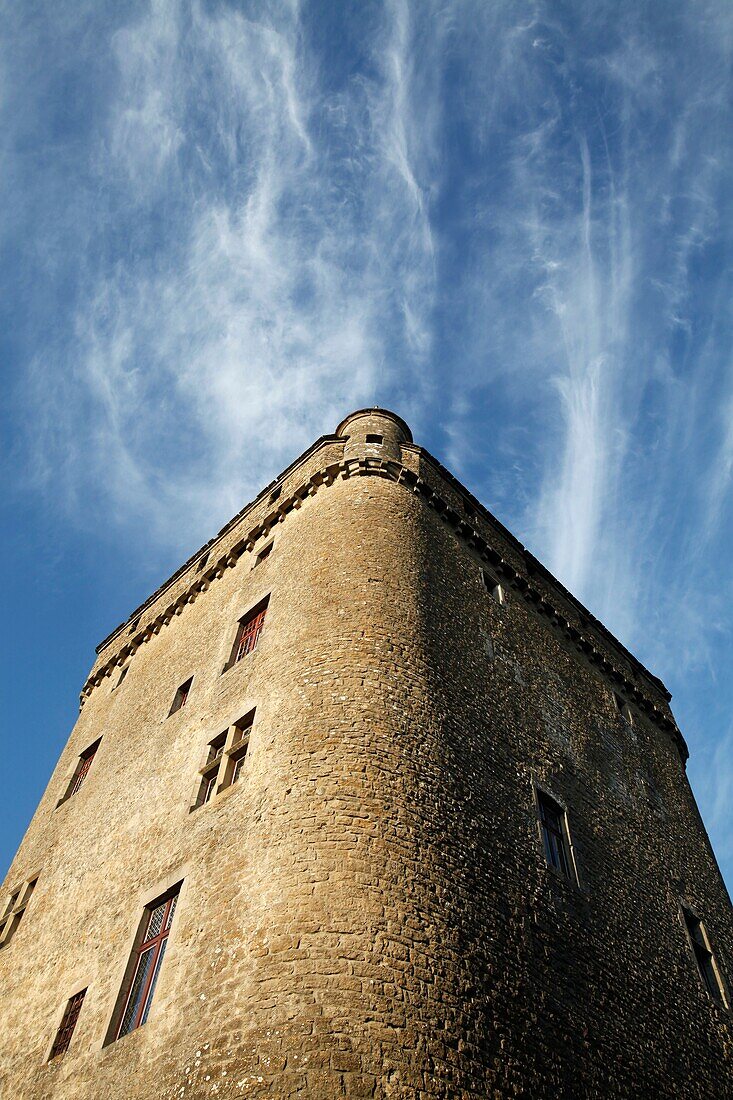 Château du Pin. France.