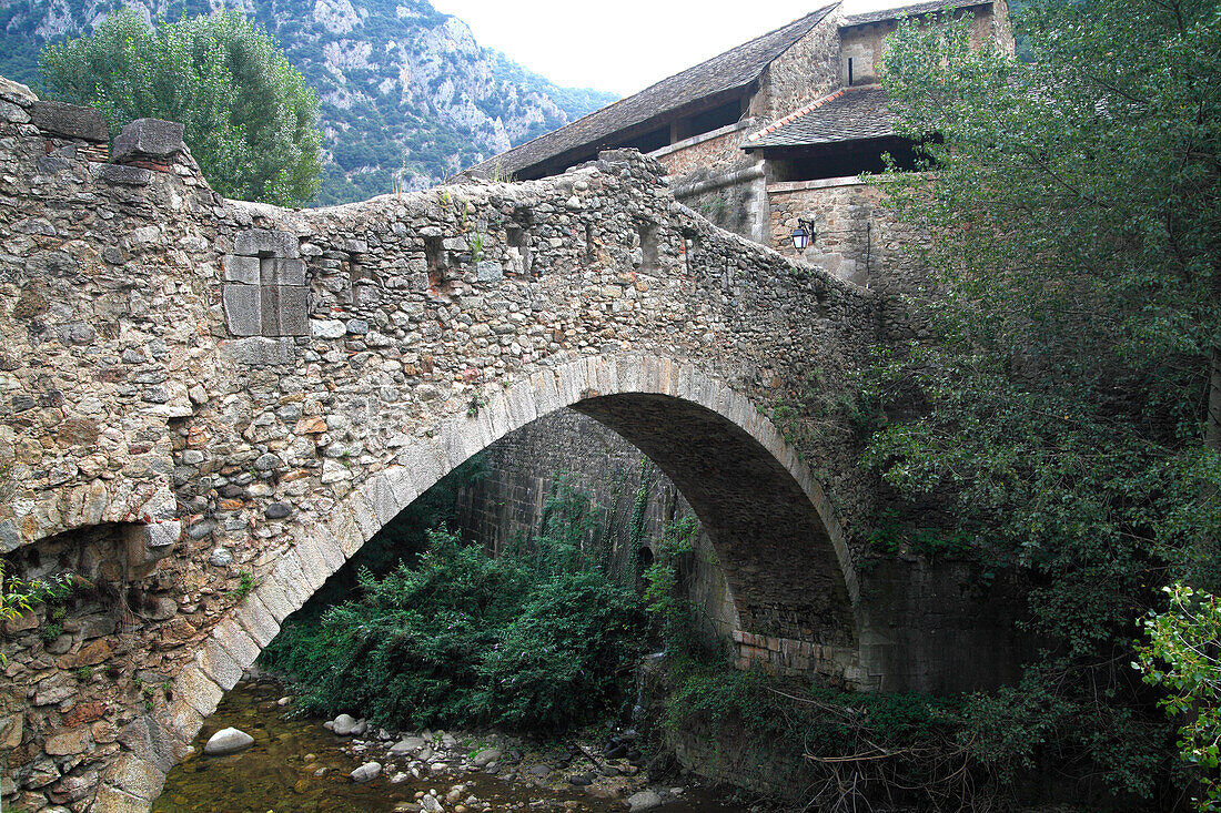 France, Languedoc Roussillon, Pyrenees Orientales (66), Villefranche de Conflent, ( Tet valley) bridge on Tet river