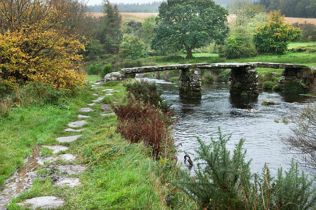 Dartmoor National Park, Devon, England, landscape, Clapper Bridge near Postbridge