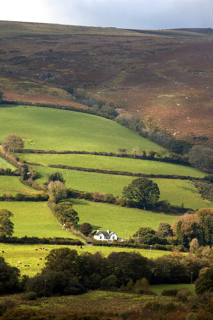 Dartmoor National Park, Devon, England, landscape