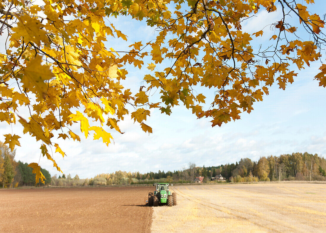 Tractor With an Aerator, Estonia